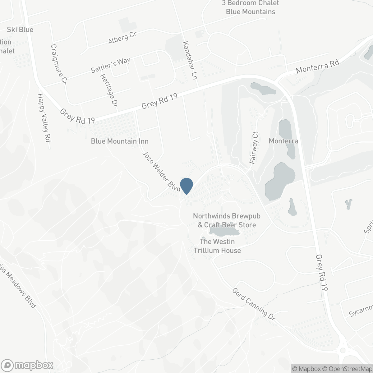 449 - 156 JOZO WEIDER BOULEVARD, The Blue Mountains, Ontario L9Y 0V2